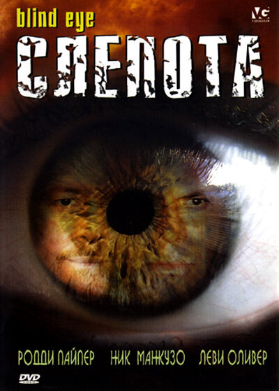 Слепота (2007) постер
