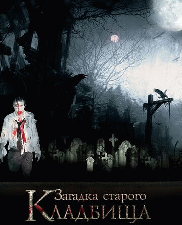 Загадка старого кладбища (2008)