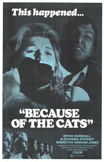 Из-за кошек (1973)