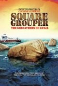 Square Grouper (2011)